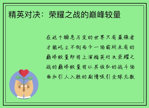 精英对决：荣耀之战的巅峰较量